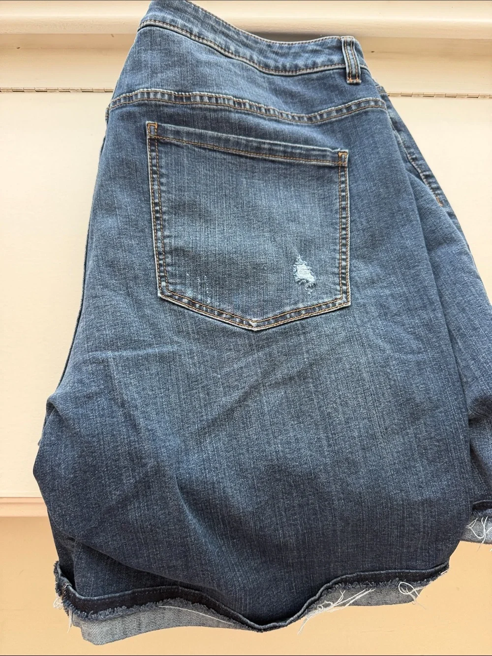 Lane Bryant Bermuda shorts Classic Dark Blue
